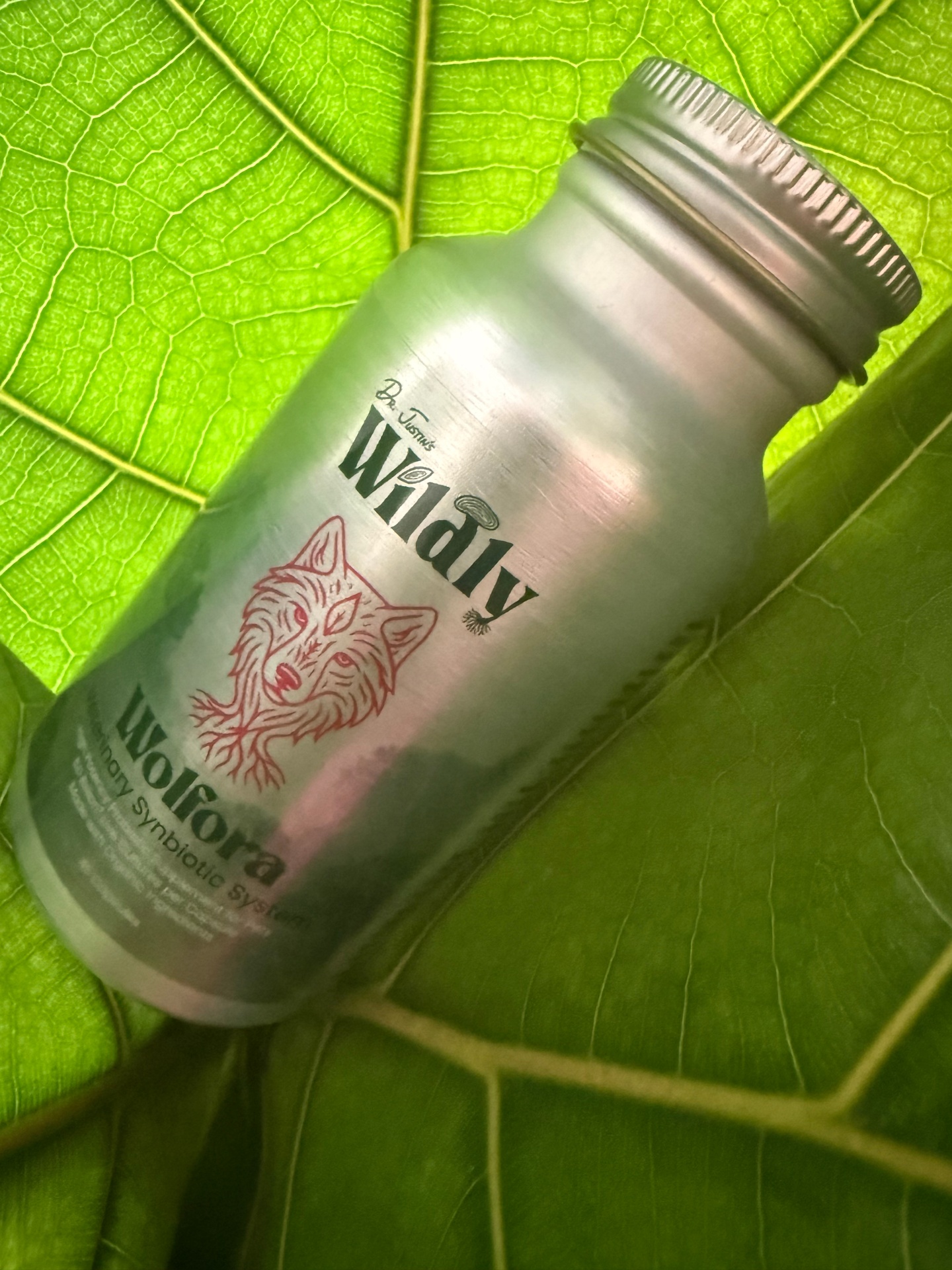 Wolfora aluminum jar on fiddle-leaf-fig